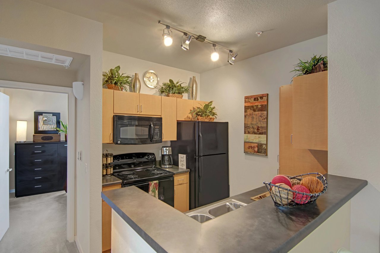 Modern kitchen with black appliances, stainless steel sink, and light wood cabinets.