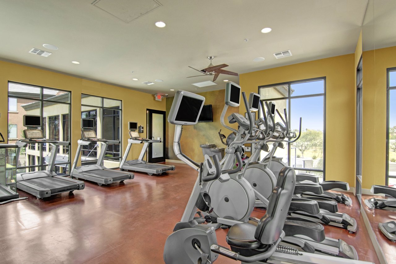 Treadmills and elliptical machines in a well-lit fitness center with large windows.