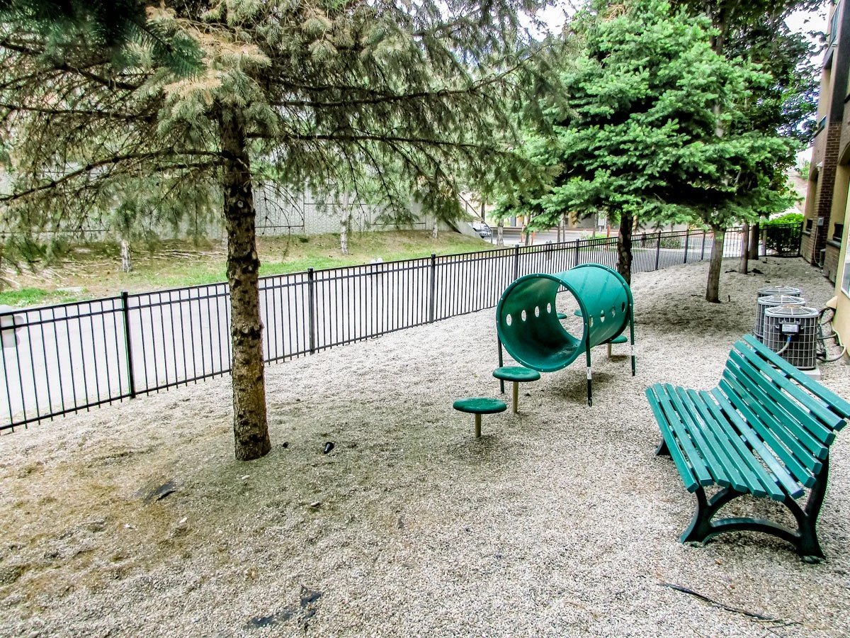 Outdoor dog park area with a tunnel, bench, and trees.