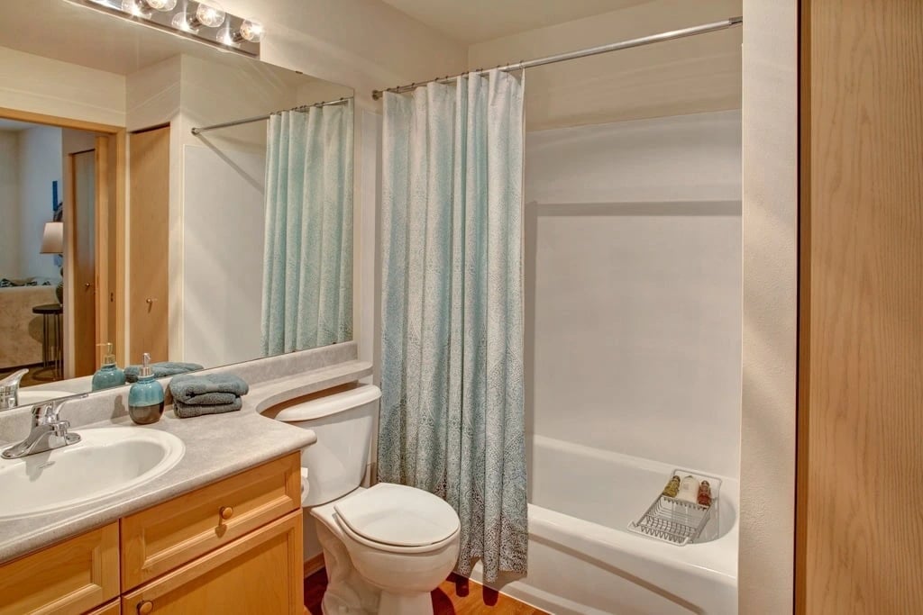 Bathroom with toilet, vanity, and bathtub with shower curtain.