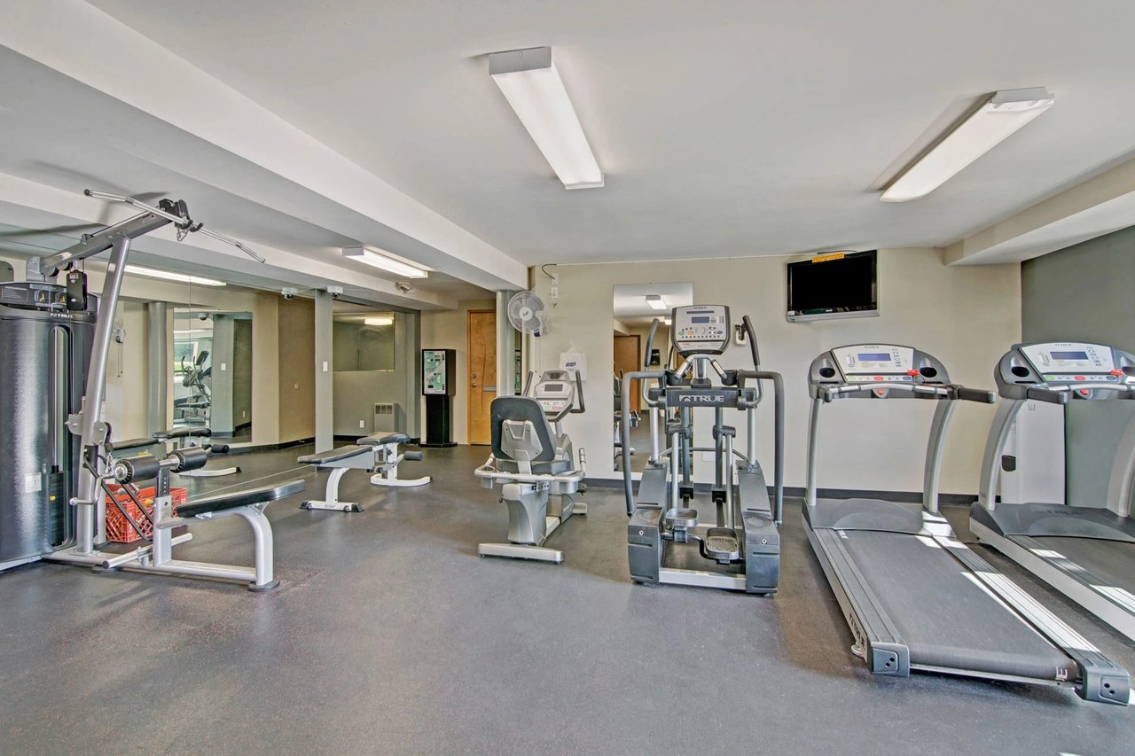 Treadmills, elliptical, stationary bike, and weight machine in community gym.
