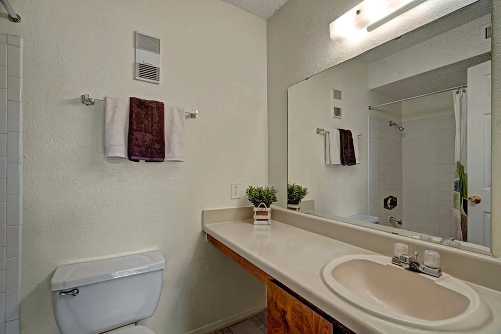 Bathroom with toilet, sink, mirror, and shower.
