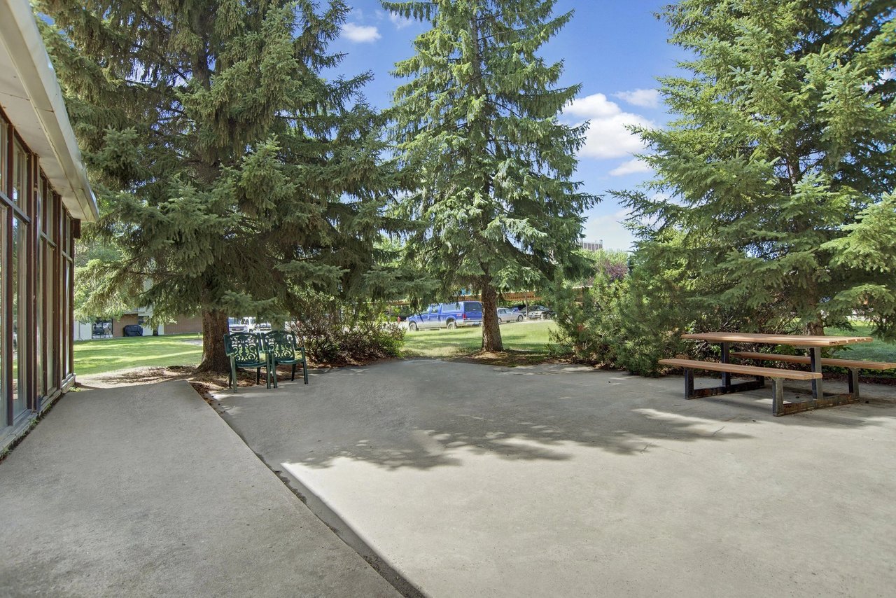 Outdoor seating area with picnic table and chairs surrounded by trees.