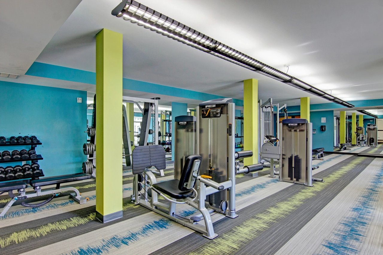 Bright fitness center with weight machines, benches, and free weights in a colorful gym.