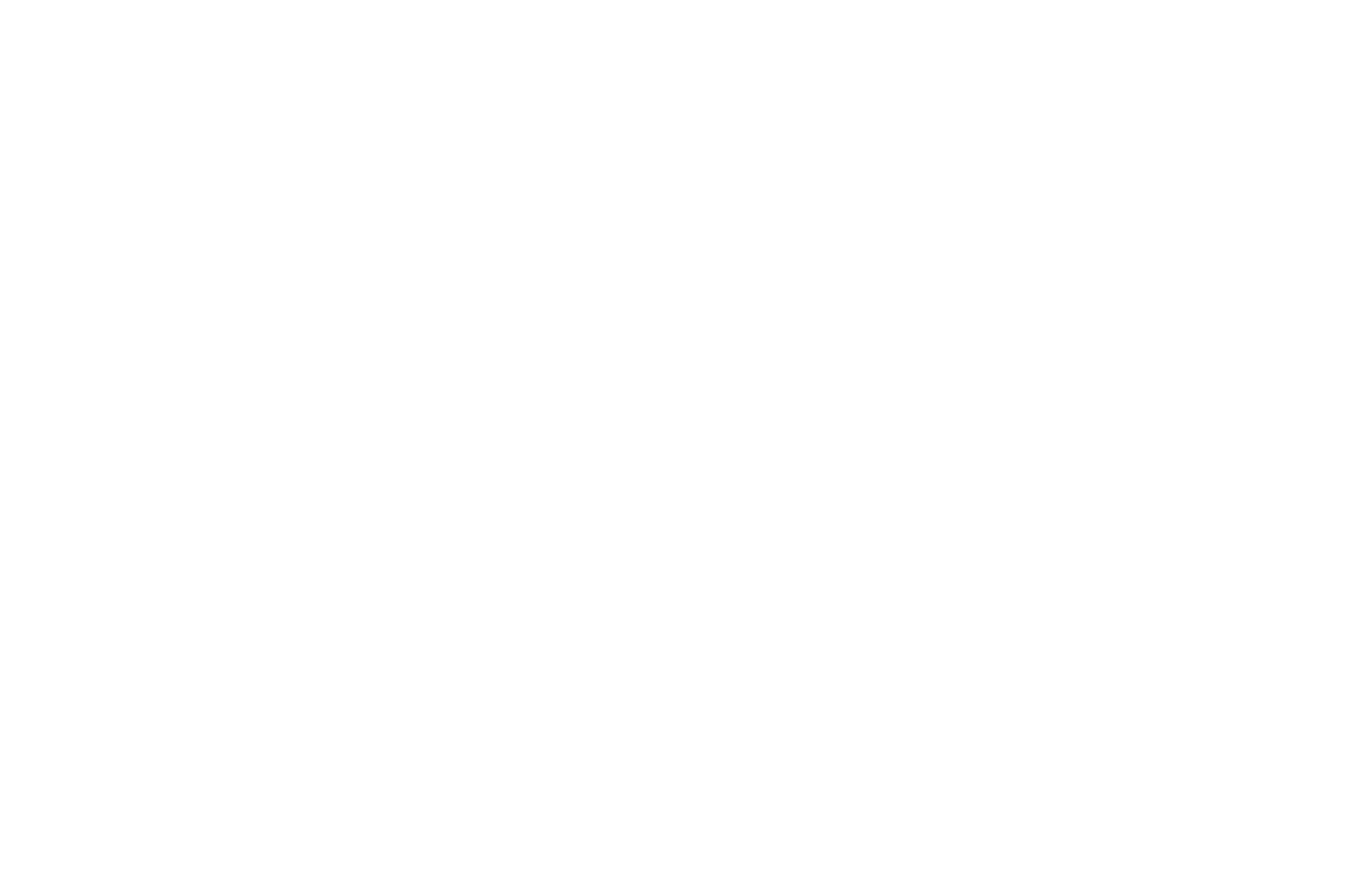 The Villas at Bloomingdale logo.