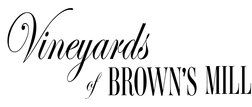 property monoblack logo