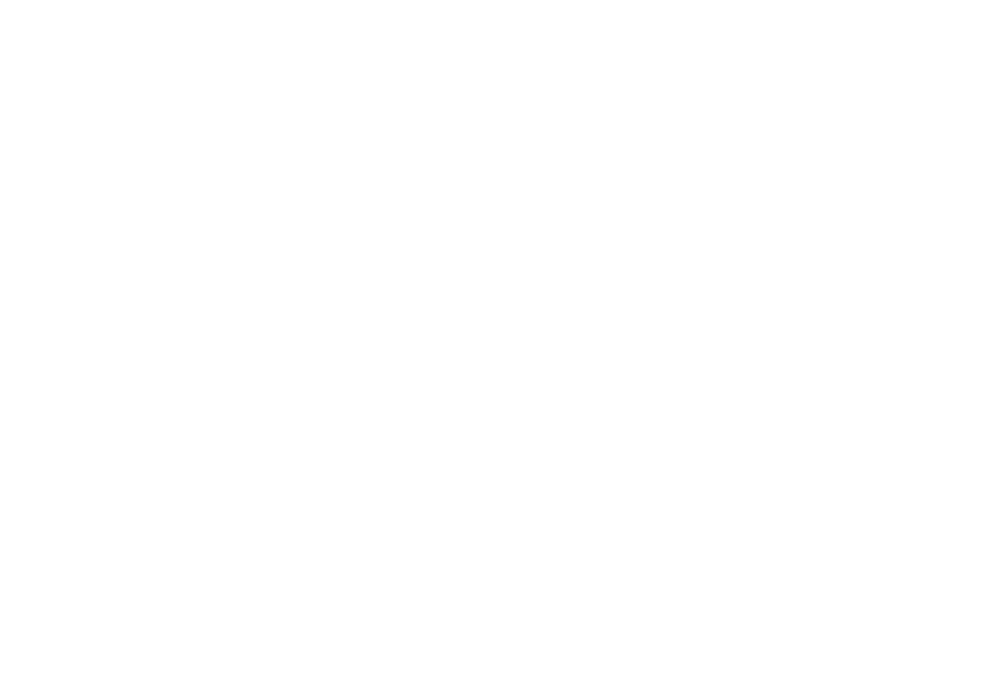 The Palomino logo.