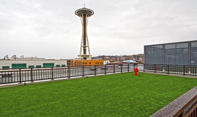 Rooftop dog park with Seattle Space Needle view.