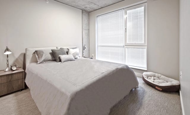 Modern apartment bedroom with a king-size bed, nightstand, and large window.