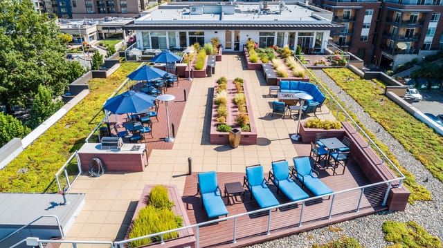 Rooftop terrace with lounge chairs, dining tables, umbrellas, and grills.