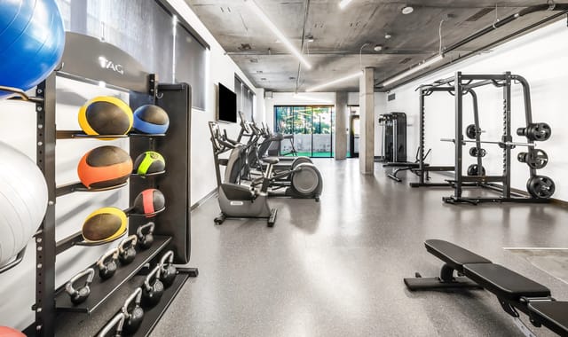 Modern apartment gym with cardio machines, weight racks, and free weights.