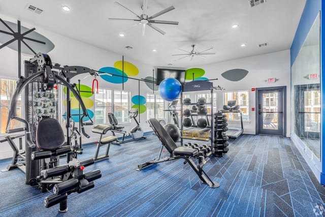 Interior of a modern apartment complex gym with cardio machines, weight machines, free weights, and a large blue exercise ball.