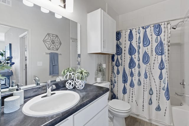 A bathroom with a sink, toilet, and shower.