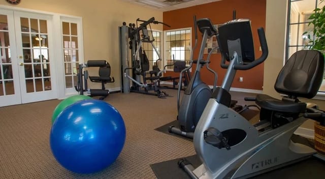 Fitness center with cardio machines and exercise balls.