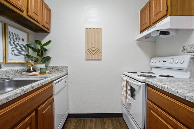 Modern kitchen with stainless steel sink, dishwasher, and white stove.