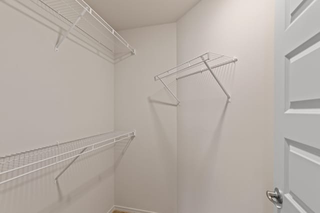 Empty walk-in closet with white wire shelving