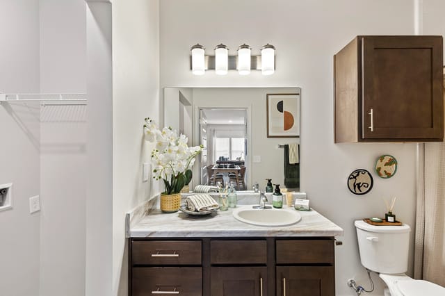 Bathroom vanity with sink, modern light fixture, and dark wood cabinets. Toilet visible.
