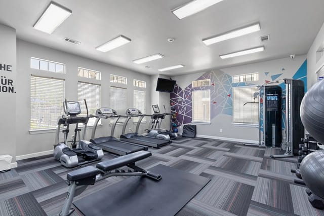 Indoor apartment gym with treadmills, weights, and a geometric mural.