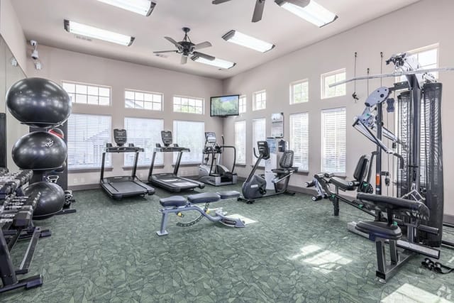 Bright fitness center with treadmills, ellipticals, weight machines, and free weights.