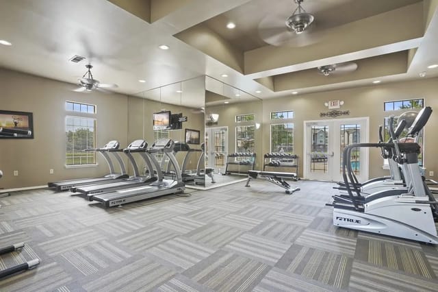 Interior of a modern gym with treadmills, cardio machines, mirrored walls, and windows.