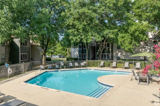 Outdoor apartment pool with lounge chairs under leafy trees.