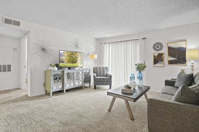 Living room with a grey sofa, armchair, TV on a console, coffee table, and vertical blinds.