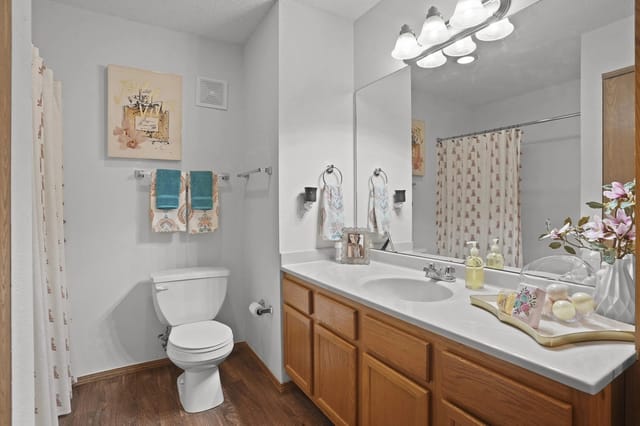 A bathroom with a toilet, sink, mirror, and a painting on the wall.