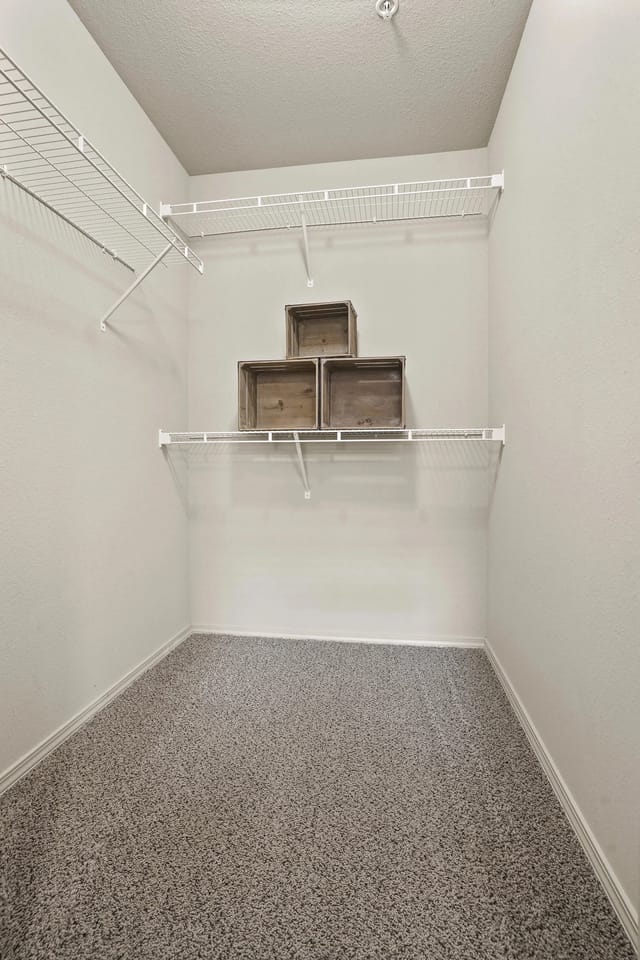 A white room with a shelf and a grey carpet.