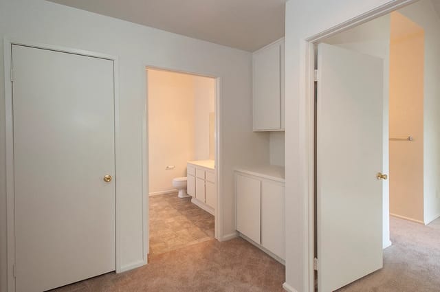 Interior hallway with a white bathroom vanity and doors; toilet visible through the doorway.