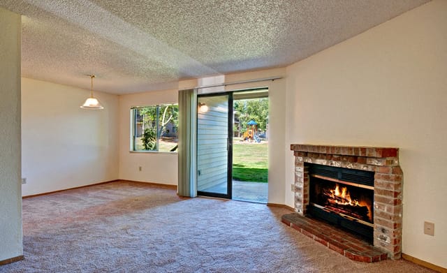 Living room with a fireplace and a sliding glass door leading to a playground.