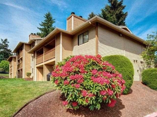 Exterior view of a beige, multi-unit apartment building with balconies and landscaped shrubs.