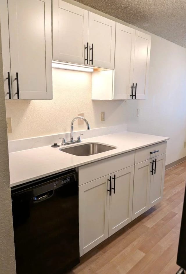 Modern kitchen with white cabinets, quartz countertops, and a stainless steel sink.