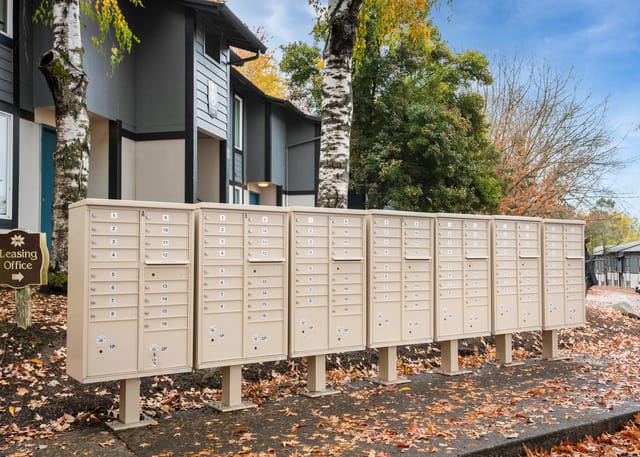 Row of beige apartment mailboxes in front of a multi-unit building, autumn leaves on the ground.