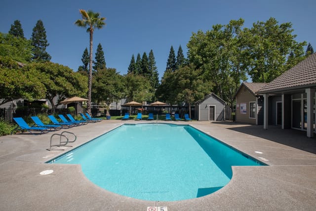 Outdoor community pool with blue lounge chairs, umbrellas, and surrounding trees.