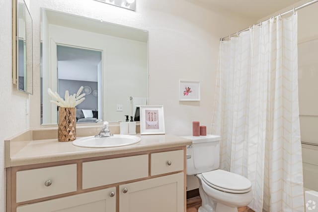 Bathroom in apartment with beige vanity, white sink, large mirror, toilet, and shower curtain.