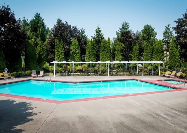 Outdoor apartment pool with blue water, lounge chairs, and tall evergreen trees.