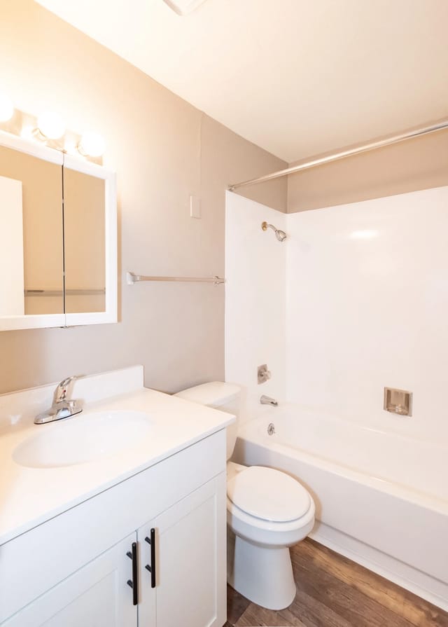 Modern bathroom with vanity, sink, toilet, and bathtub with shower.