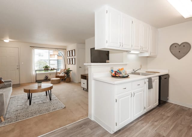 Kitchen and living room area in an apartment.
