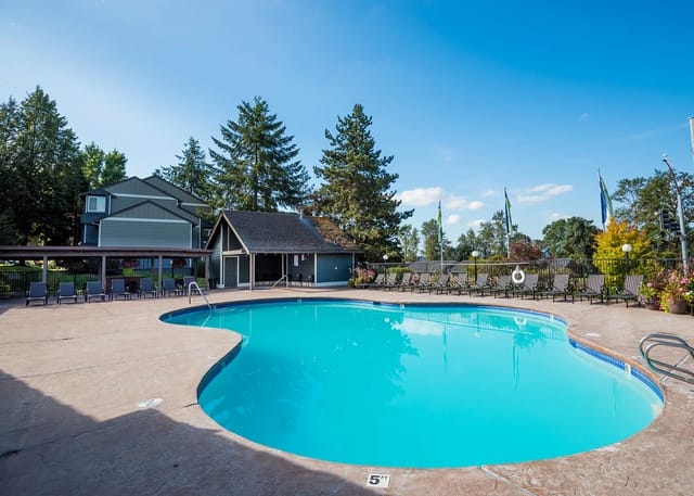Outdoor swimming pool with lounge chairs and trees.