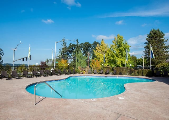 Outdoor swimming pool with lounge chairs and trees in the background.