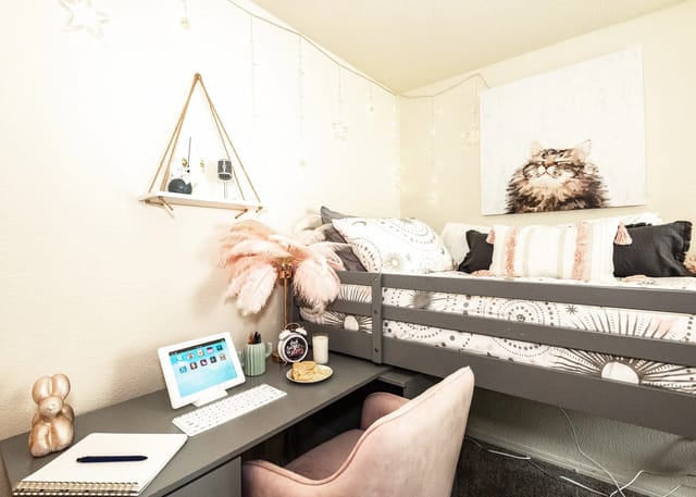 A cozy bedroom with a loft bed, desk, and decor.