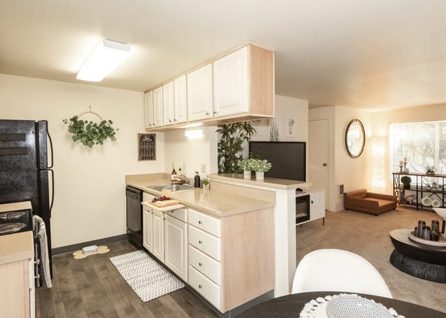 Kitchen with stainless steel appliances and ample cabinet space.