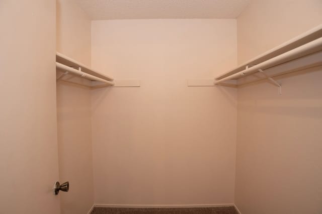 Empty walk-in closet with two rows of hanging shelves.