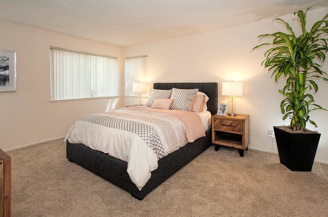 Bedroom with a queen-size bed, nightstand, and plant.