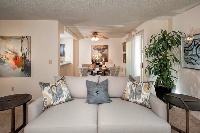 Cozy living and dining area with a sofa, dining table, and plants.