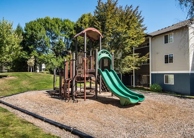 Playground with slides and climbing structure.