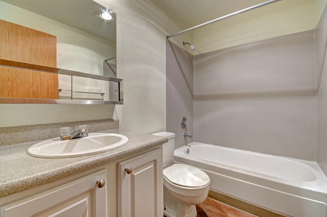 Bathroom vanity with sink and toilet next to bathtub