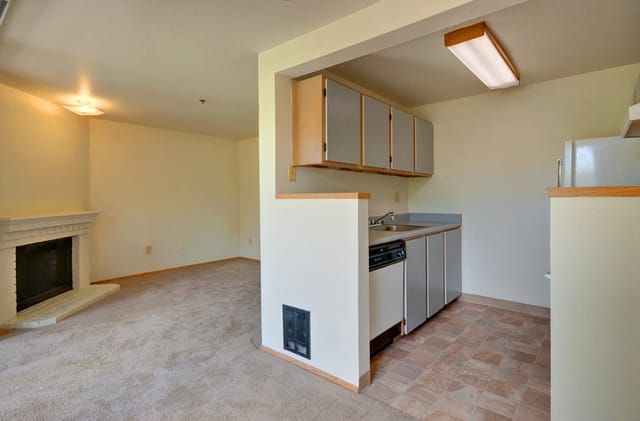 Kitchenette and living area with fireplace