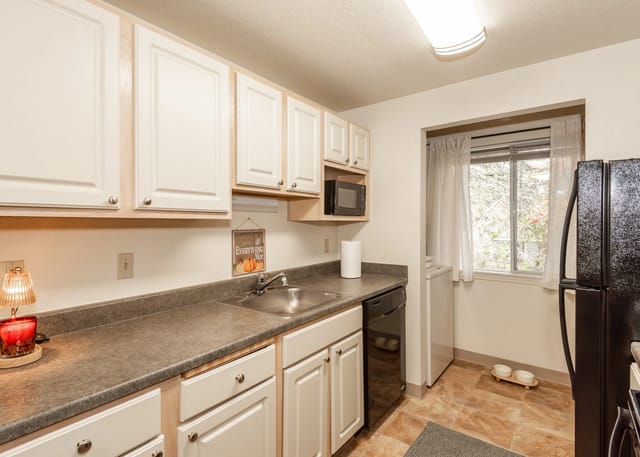 Kitchen with white cabinets, stainless steel sink, black dishwasher, and black refrigerator.
