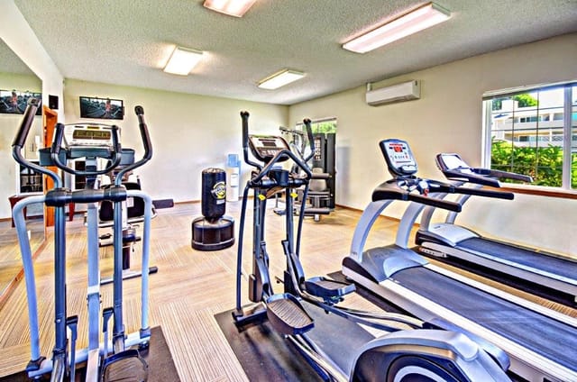 Treadmills and elliptical machines in a well-lit gym